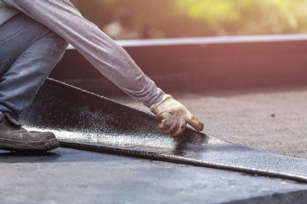 Professional Basement Waterproofing technician working in Perdido, AL